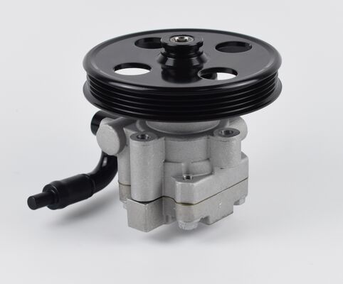 مضخة القيادة من الصين قطع غيار نظام الهيكل السيارات الدقة العالية 1102DAA03701N 60بار أنابيب